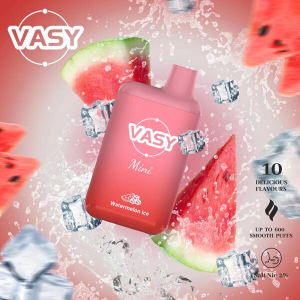 Tienda Vapers Vasy-Mini-600puffs-Disposable-Vape (18)